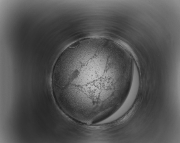 X0000089680855200706281356