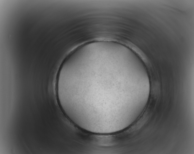 X0000089680856200706281356