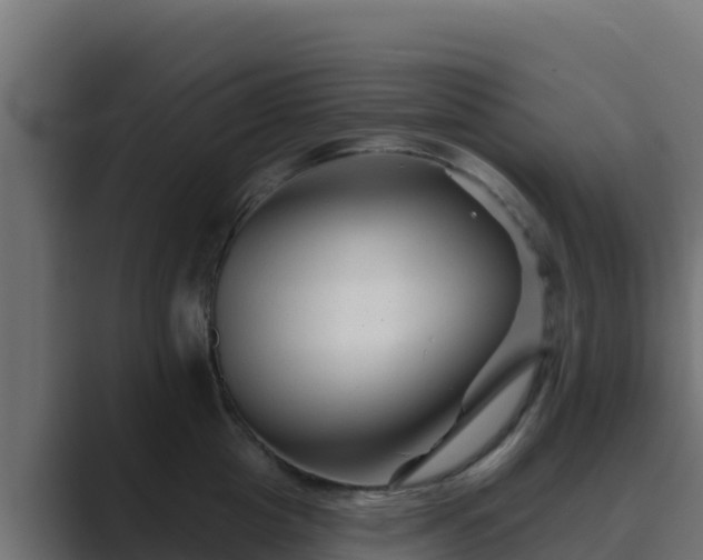 X0000089680857200706281356