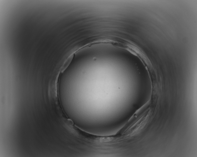 X0000089680858200706281356