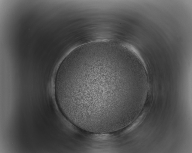 X0000089680859200706281356