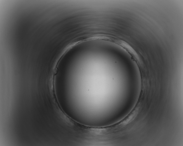 X0000089680860200706281356