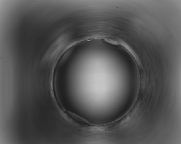 X0000089680861200706281356