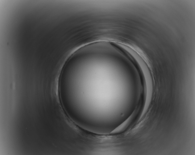 X0000089680862200706281356