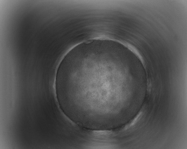X0000089680863200706281356