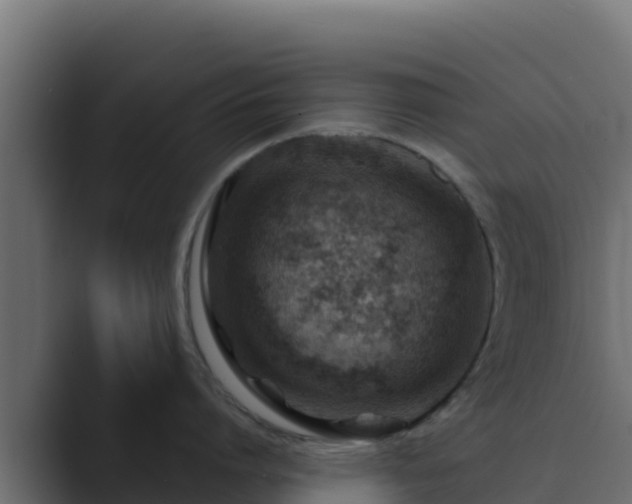 X0000089680864200706281356