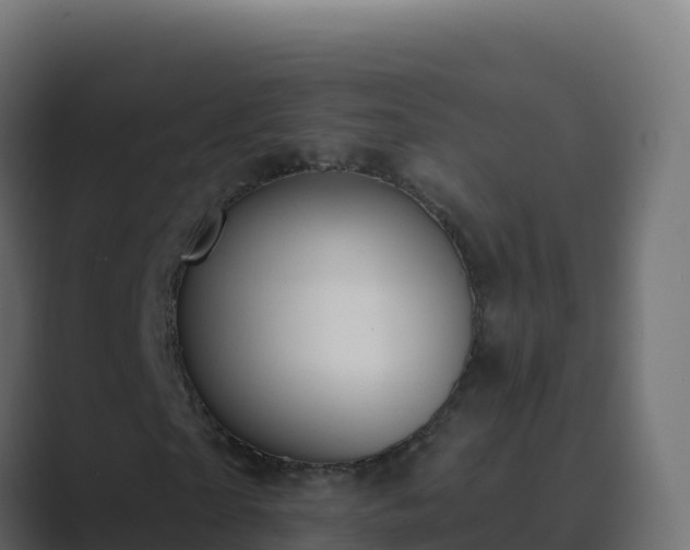 X0000089680865200706281356