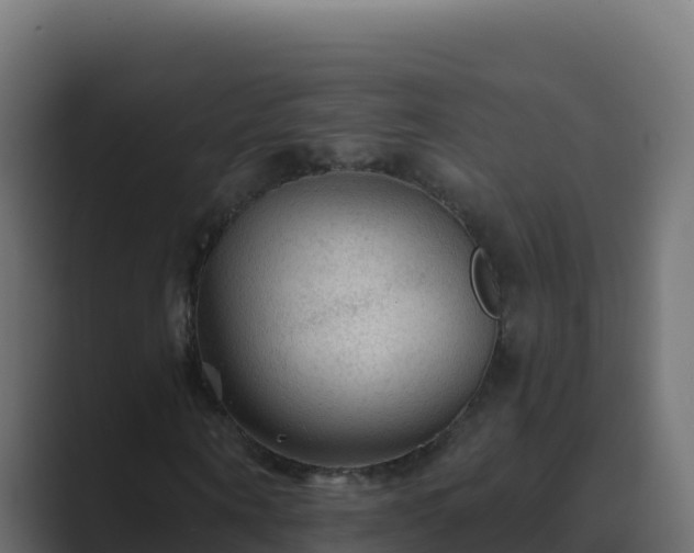 X0000089680866200706281356