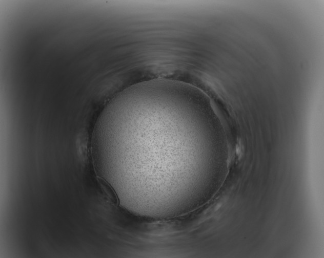 X0000089680867200706281356
