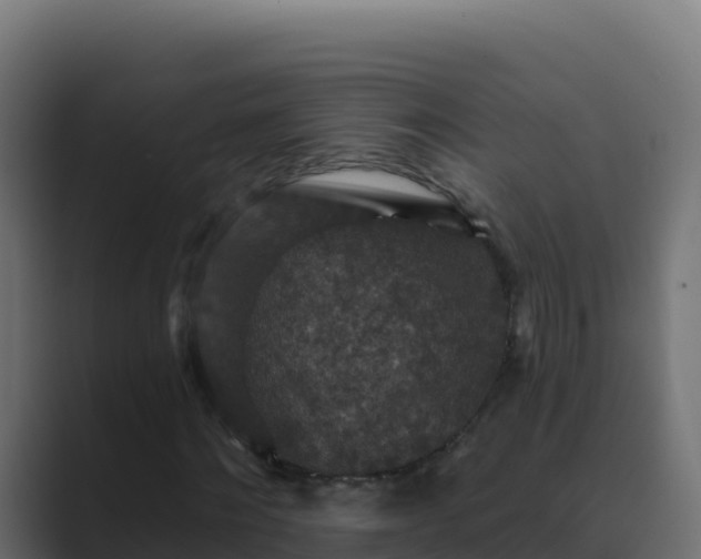 X0000089680868200706281356