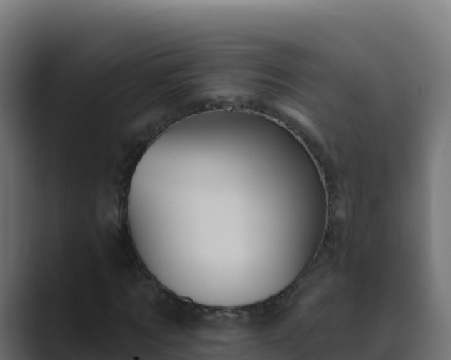 X0000089680869200706281356