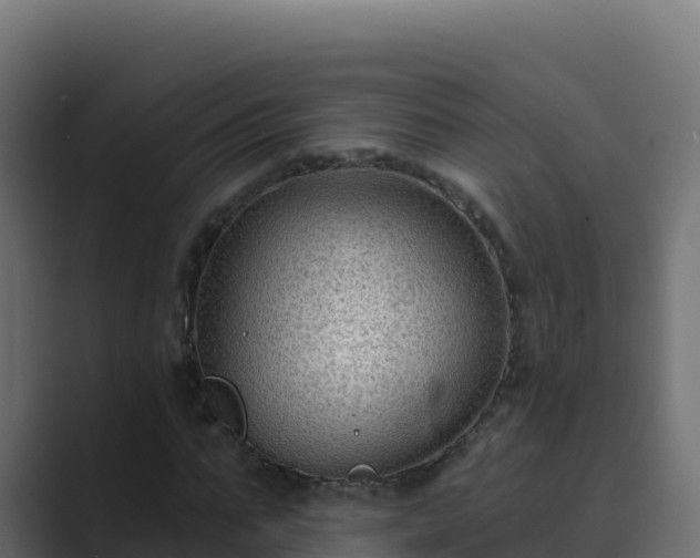 X0000089680871200706281356