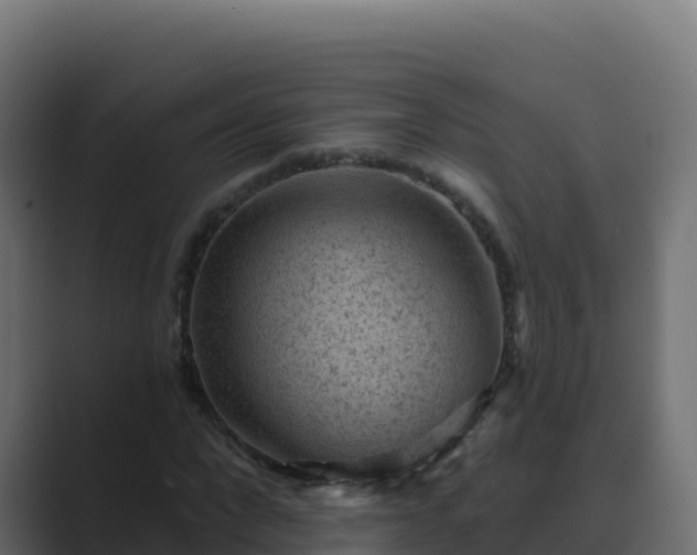 X0000089680872200706281356