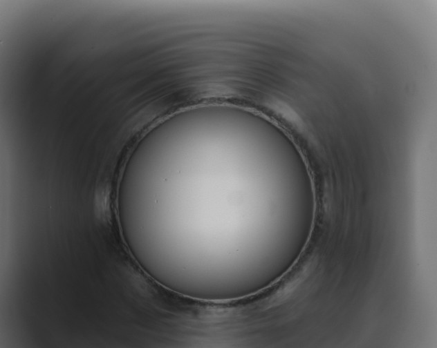 X0000089680873200706281356