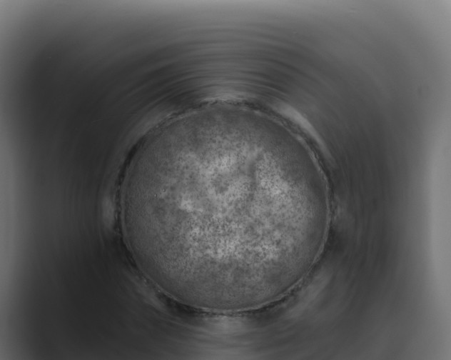 X0000089680874200706281356