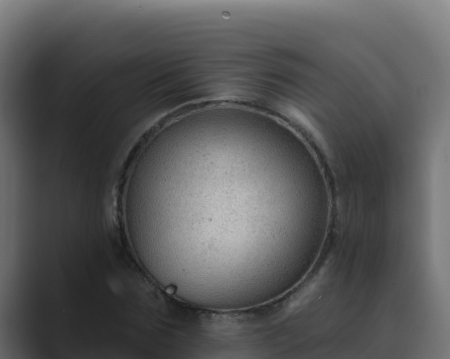 X0000089680875200706281356
