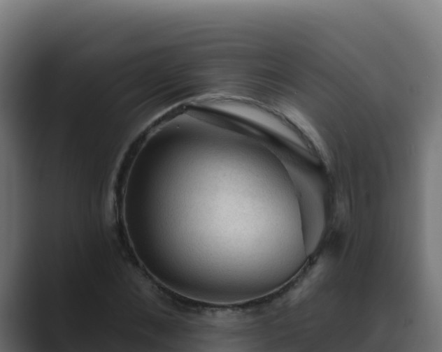 X0000089680876200706281356