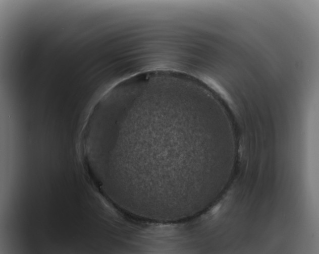 X0000089680877200706281356