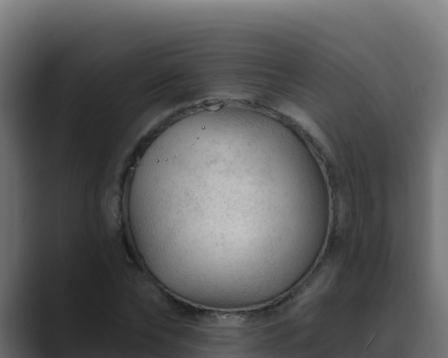 X0000089680878200706281356