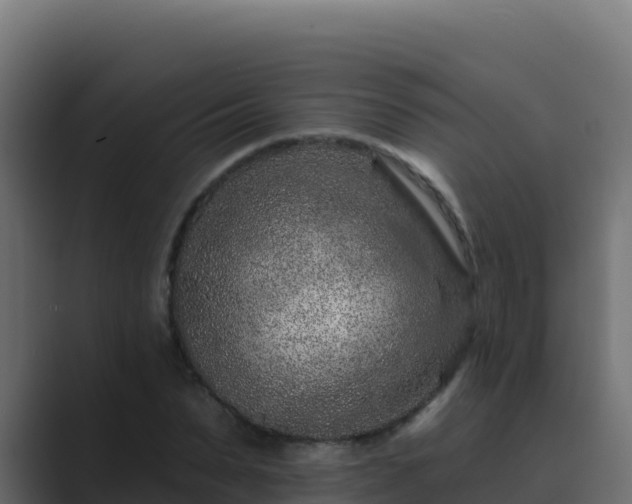 X0000089680879200706281355