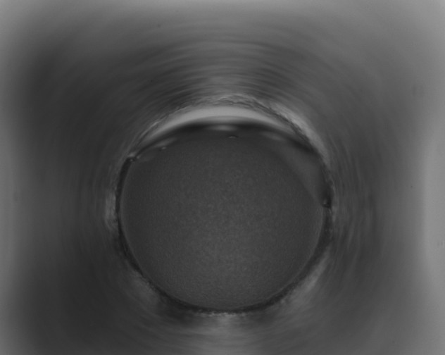 X0000089680881200706281355