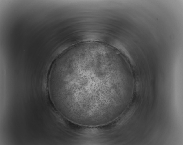 X0000089680882200706281355