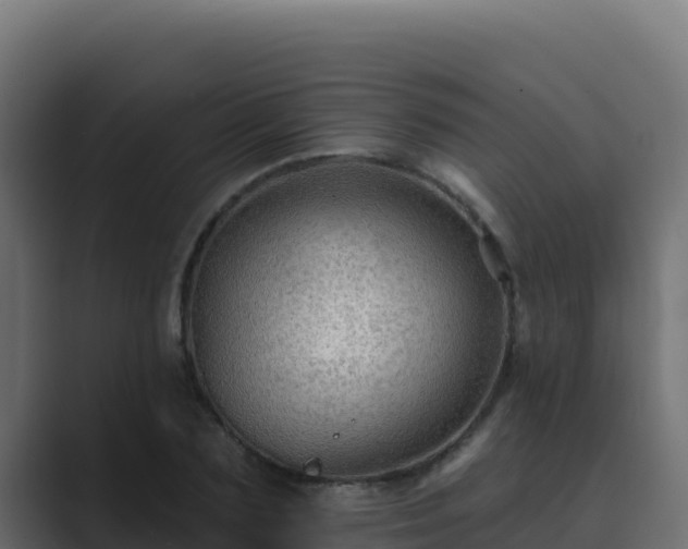 X0000089680883200706281355