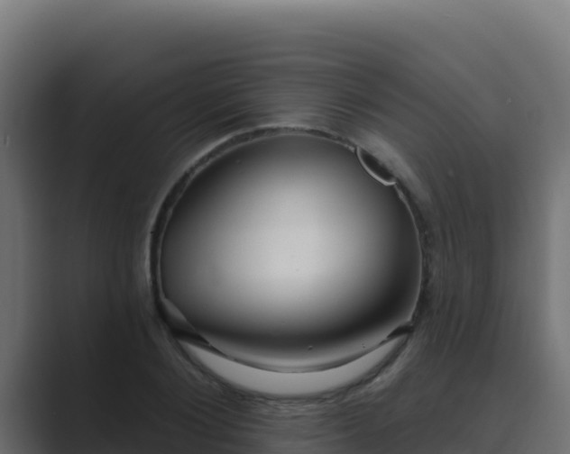 X0000089680884200706281355
