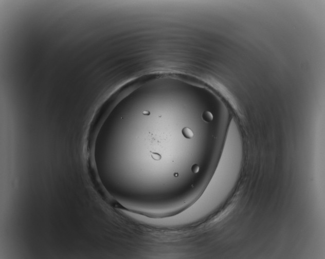 X0000089680885200706281355