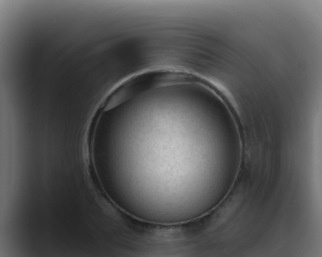 X0000089680887200706281355
