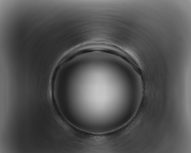 X0000089680888200706281355