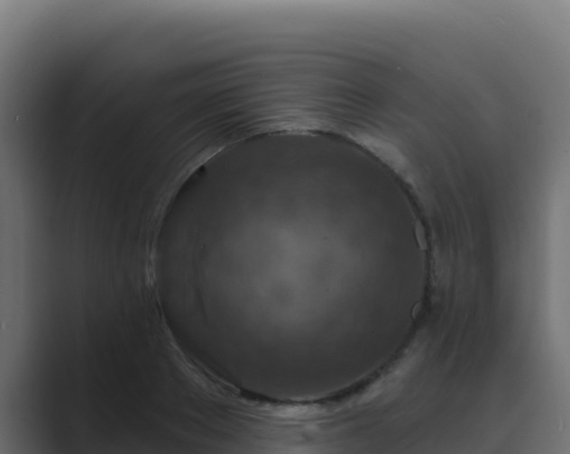 X0000089680889200706281355