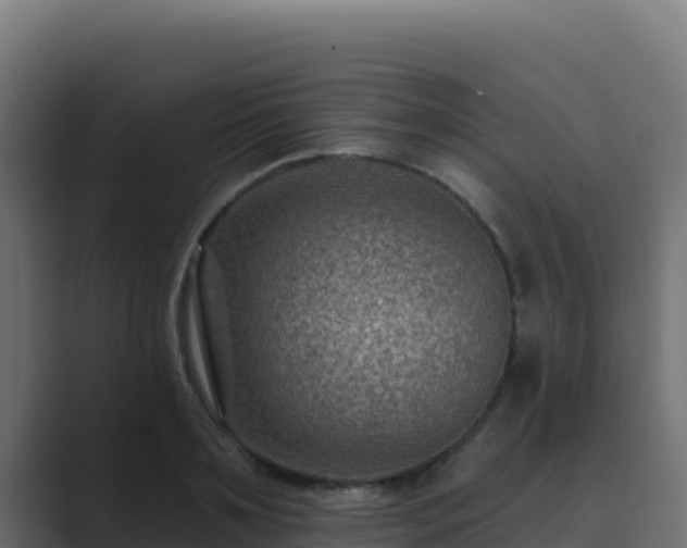 X0000089680891200706281355