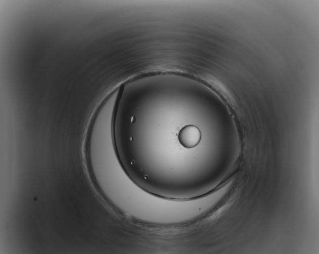 X0000089680893200706281355