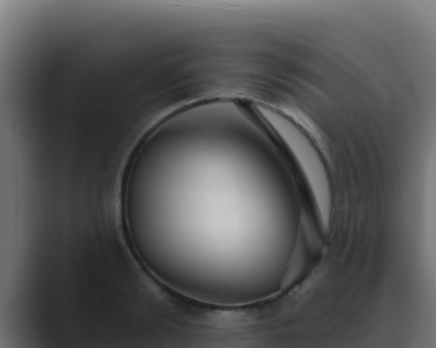 X0000089680894200706281355
