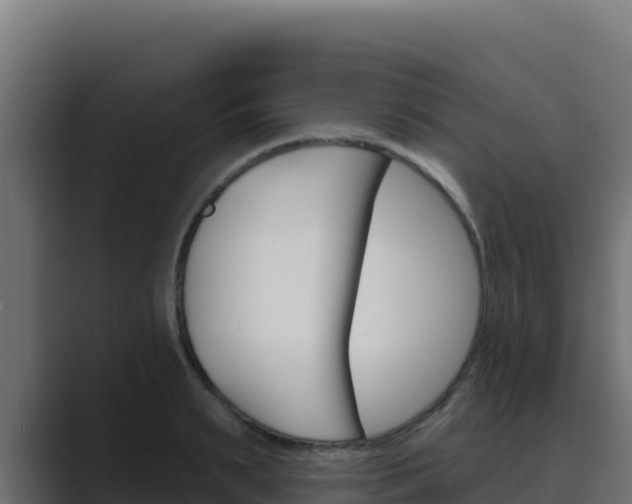 X0000089680895200706281355