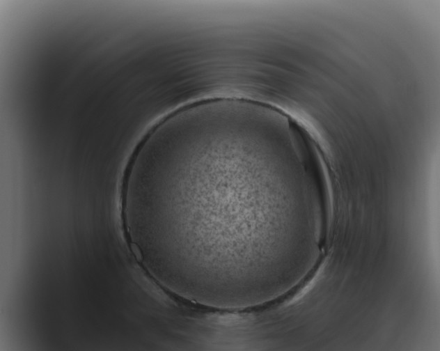 X0000089680896200706281355