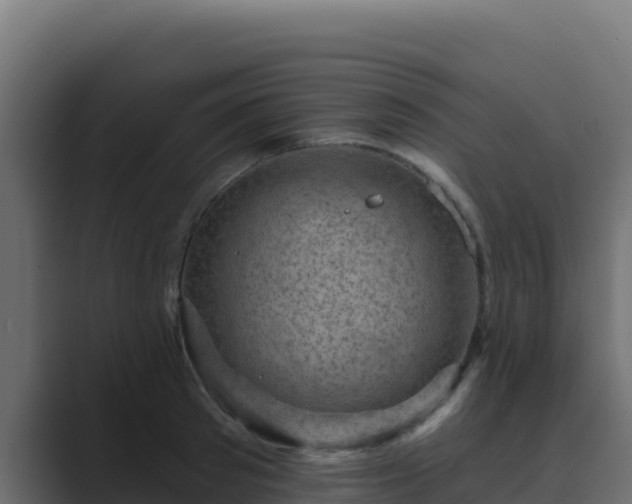 X0000089680897200706281355