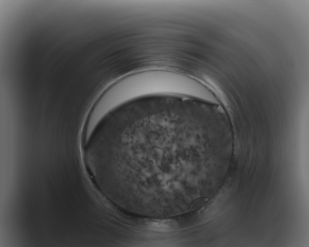 X0000089680899200706281355