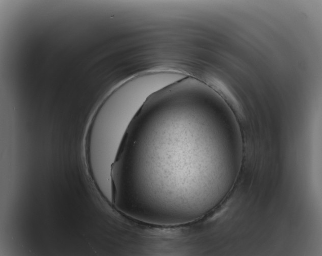 X0000089680900200706281355