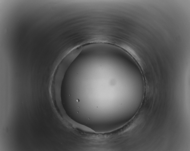 X0000089680901200706281355
