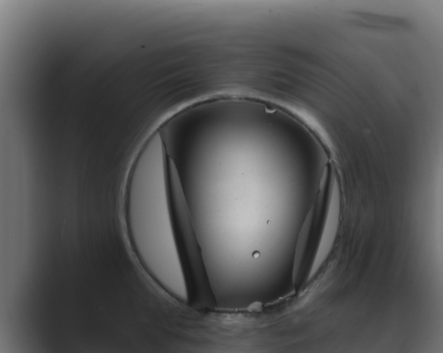 X0000089680903200706281355