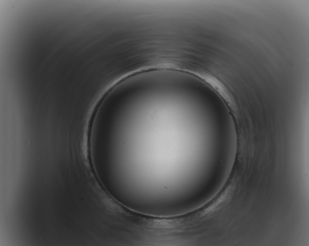 X0000089680904200706281355