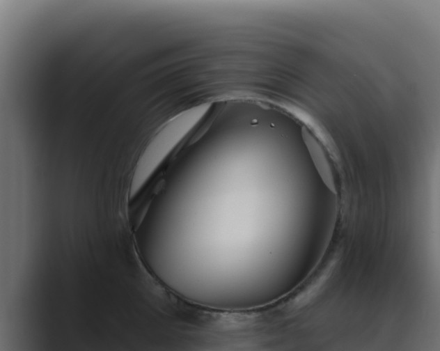 X0000089680905200706281355