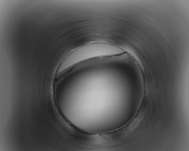 X0000089680906200706281355