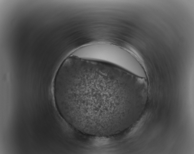 X0000089680907200706281355