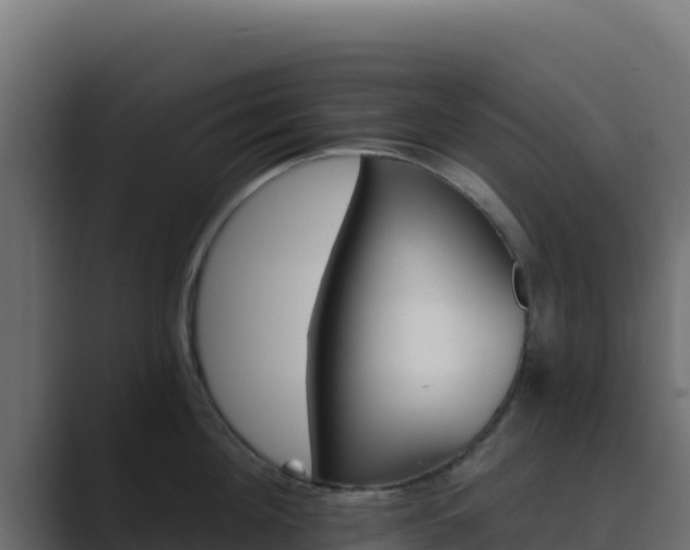 X0000089680908200706281355