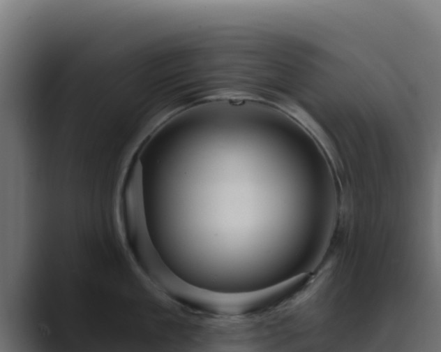 X0000089680909200706281355
