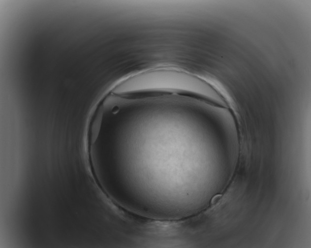 X0000089680910200706281355