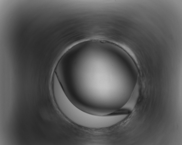 X0000089680911200706281355